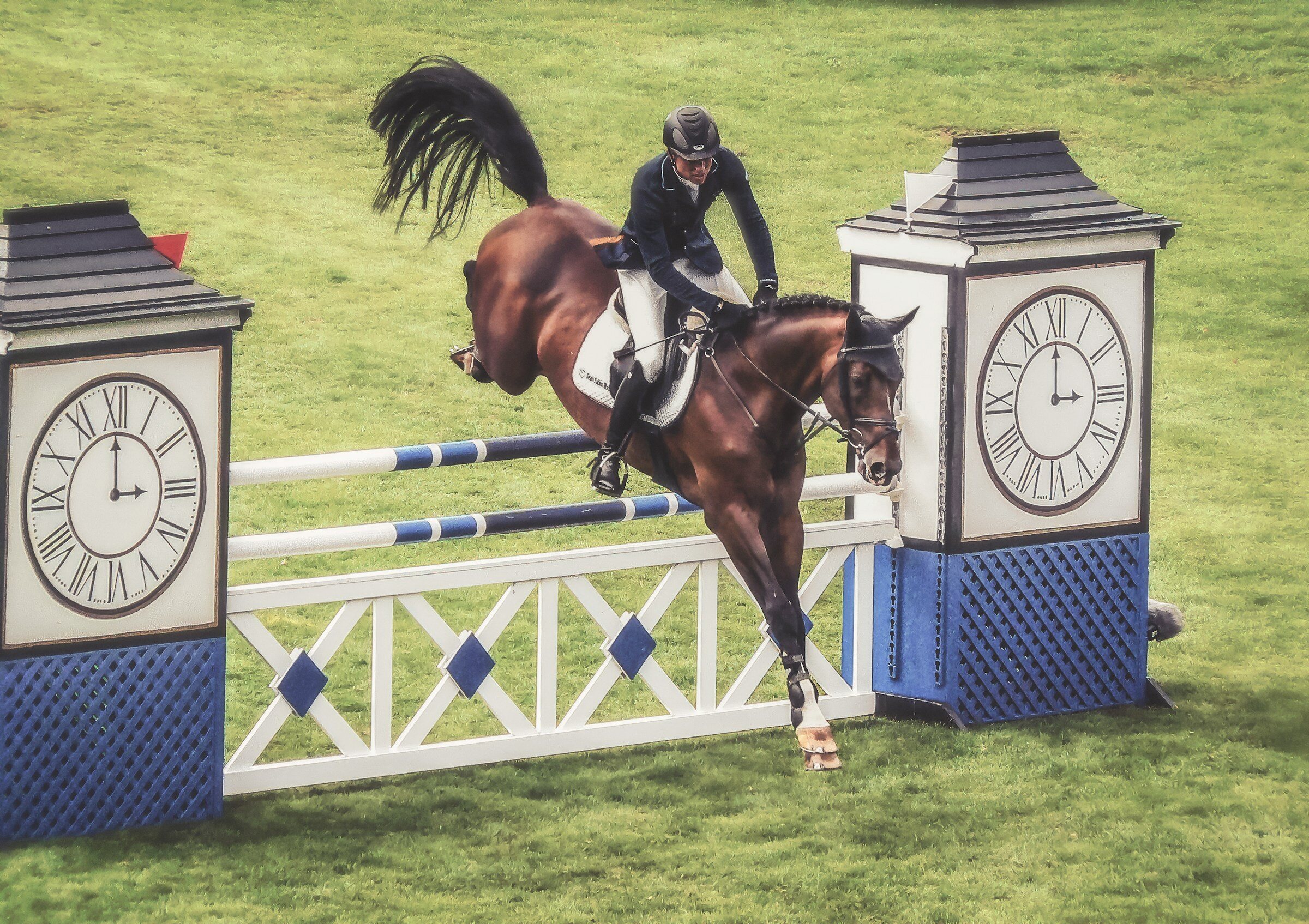 Showjumping at championship level